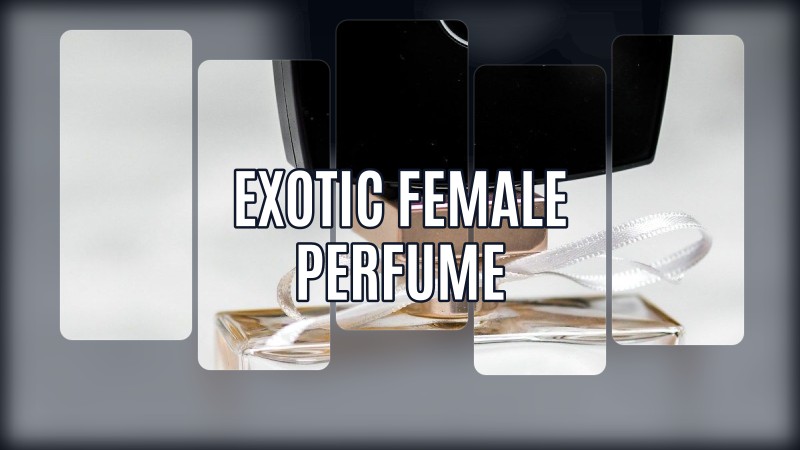 luxury ladies perfume